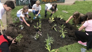 six children gathered around a soil bed planting a range of flowers to help pollinators